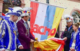 Carnavalsvlaggen en banieren